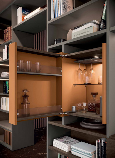 Библиотека Libera