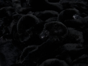 Банкетка Gorilla