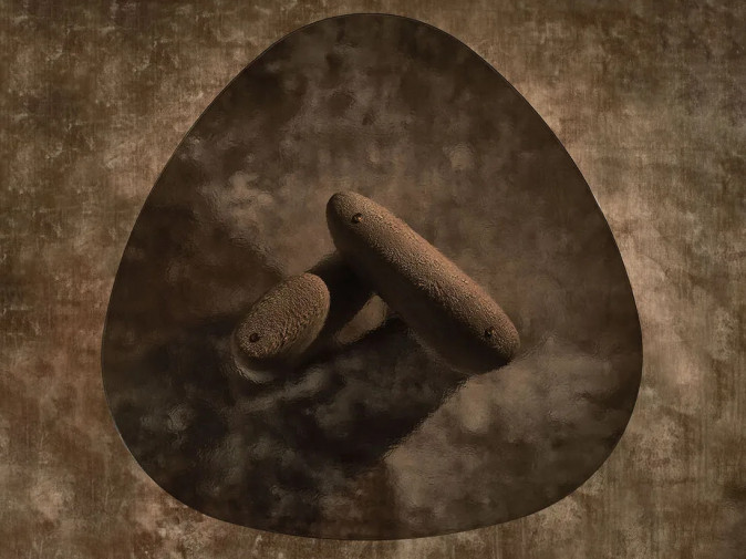 Стол обеденный Clay Vetro