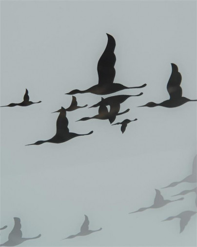 Комод Silver Bird Migration 0455