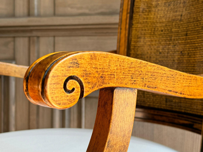 Стул Fiesta 1017/N