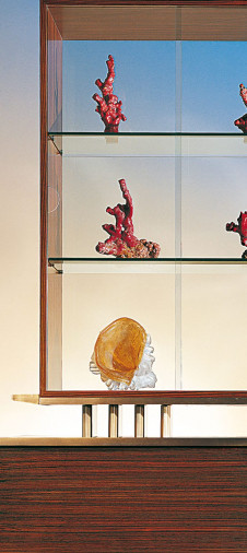 Витрина Mizuki