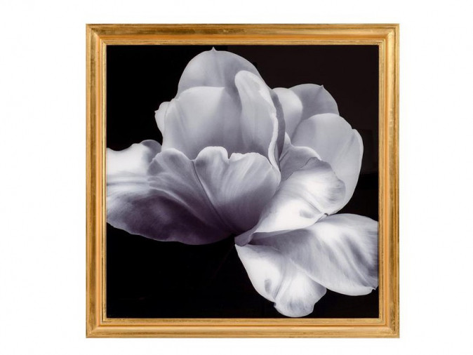 Спальня Vallejo